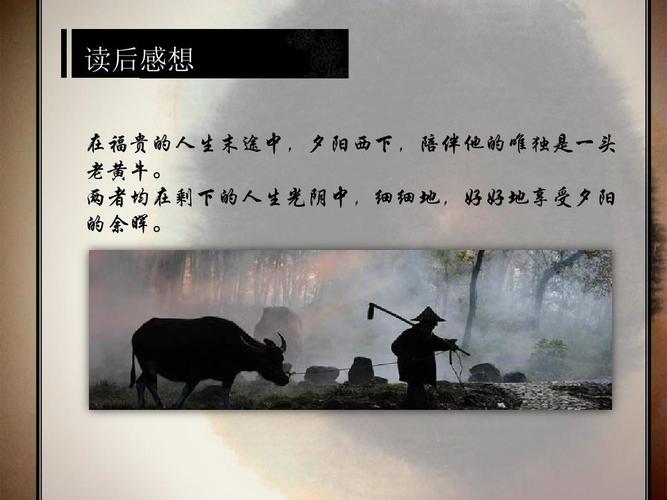 《活着》好书推荐ppt