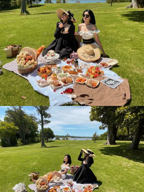南半球的夏天到了给你们最全的野餐图教程  让拍出犹如法国9193