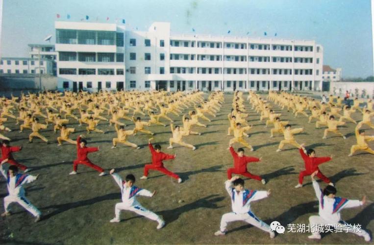 重磅:芜湖少林文武学校更名为芜湖北城实验学校