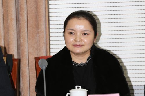 吴碧霞介绍个人履职情况及参会体会