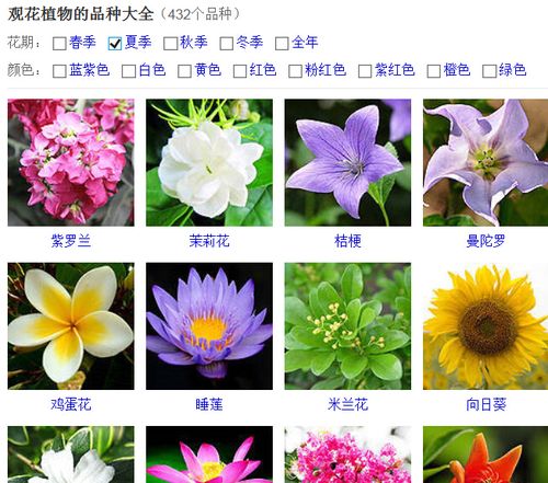 展开全部 亲,授人鱼不如授人以渔 请在百度里输入:观花植物的品种大全