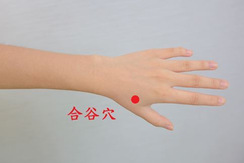 合谷穴 位置:手大拇指与食指相会凹陷处.