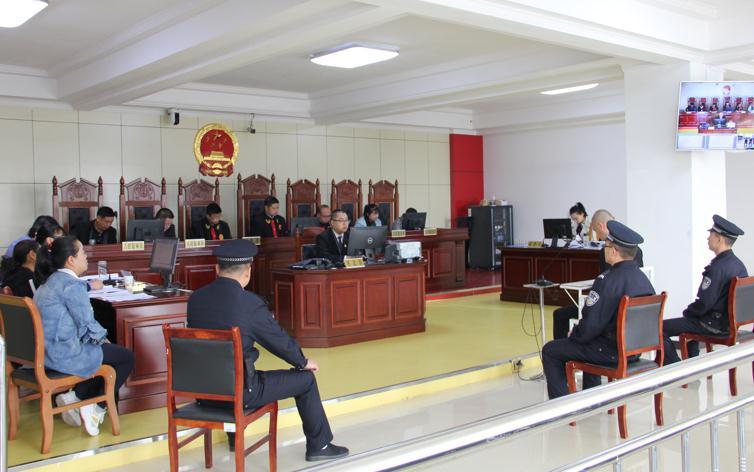 市人民中级法院开庭审理王力辉案
