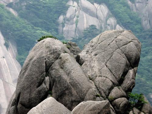 关于天狗望月狮子抢球仙女弹琴这几奇石的样子