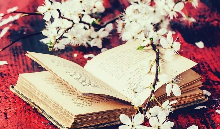 我个人认为中国有史以来,《人间词话》是最好的文学批评.