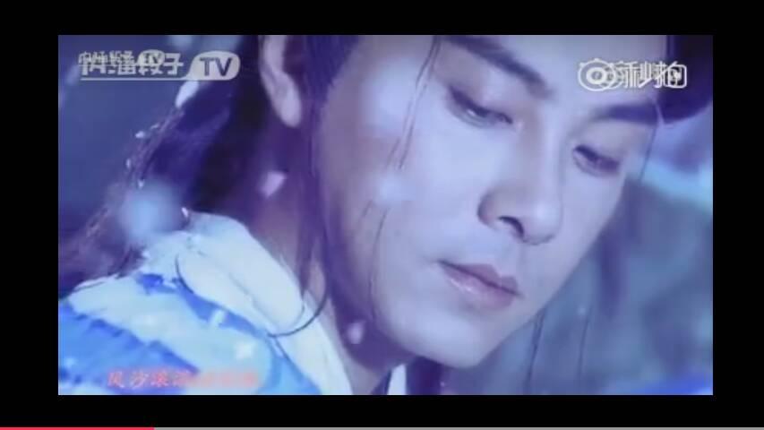 这些是张卫健哪部电视剧