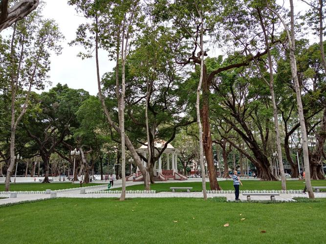 广州市人民公园完成改造后的部分园景