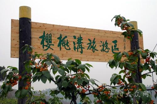 简阳樱桃沟---资阳大众网点评频道