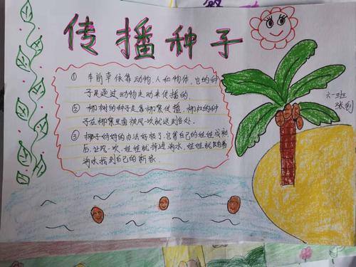 一至六年级搜索有关各种植物种子的传播方式的知识和图片,以手抄报