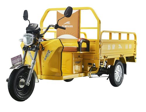 五星钻豹电动车