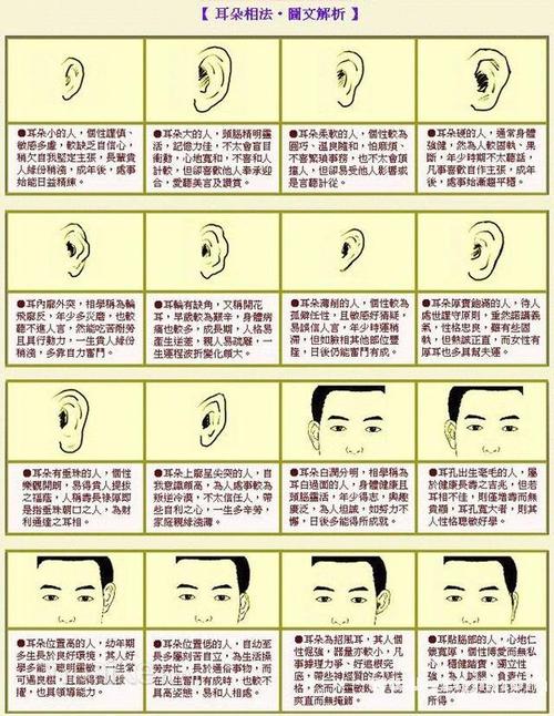 历史最详细的面相耳朵图解(作者:杨易德)