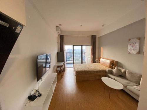 深圳地铁一号线固/戍 西/乡 坪/洲 精装修公寓房东直