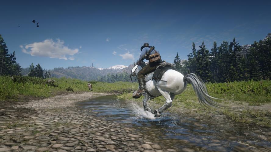 【荒野大镖客2】游戏绝美摄影(三)[壁纸/摄影]