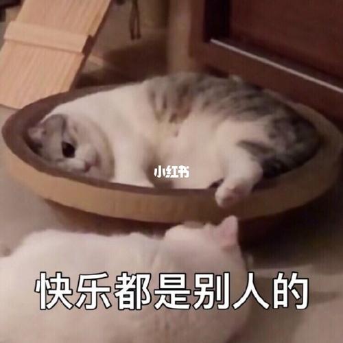 是我还不够懂事吗? 我好累啊～_快乐都_素材_表情包