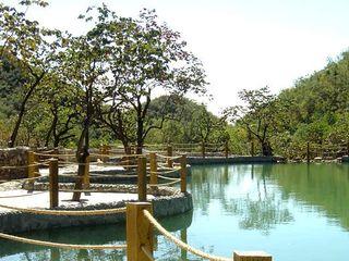 静之湖森林公园