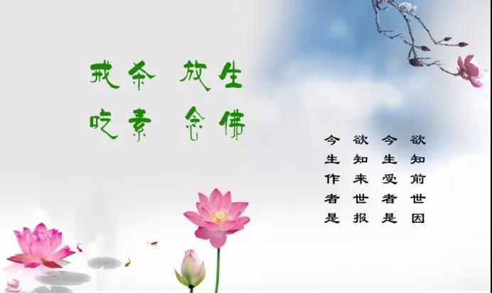 五福文摘 素食起步 素食利益 >>正文内容                 持续放生有