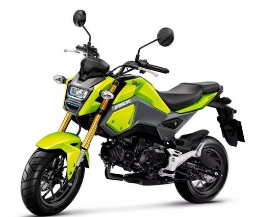 本田 川崎 雅马哈 铃木这四大日系摩托车里面有没有像是小猴子这种的