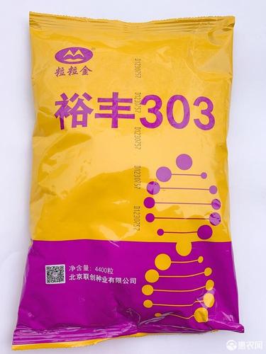 中科玉505 裕丰303 明天695 大田高产玉米 预售
