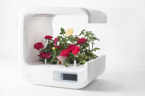 义乌智能种菜机批发,智能蔬菜种植机零售,鞍山智能桌面种植机批发零售