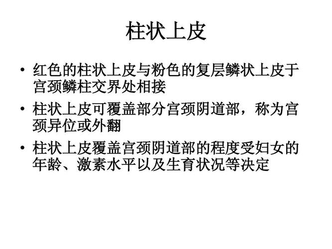 柱状上皮可覆盖部分宫颈阴道部,称为宫 颈异位或外翻   柱状上皮
