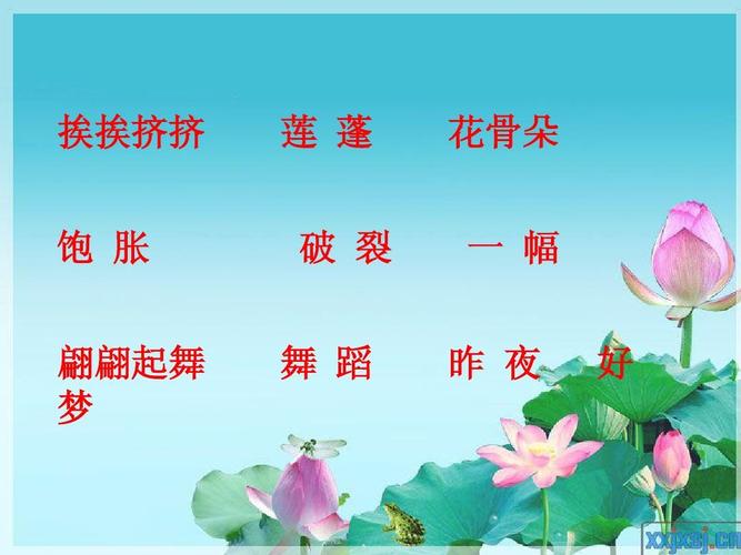 《荷花》ppt之一课件(苏教版三年级语文下册课件)
