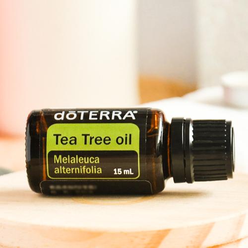 抗痘抑菌植物精油美国进口多特瑞茶树精油15mldoterra单方精油
