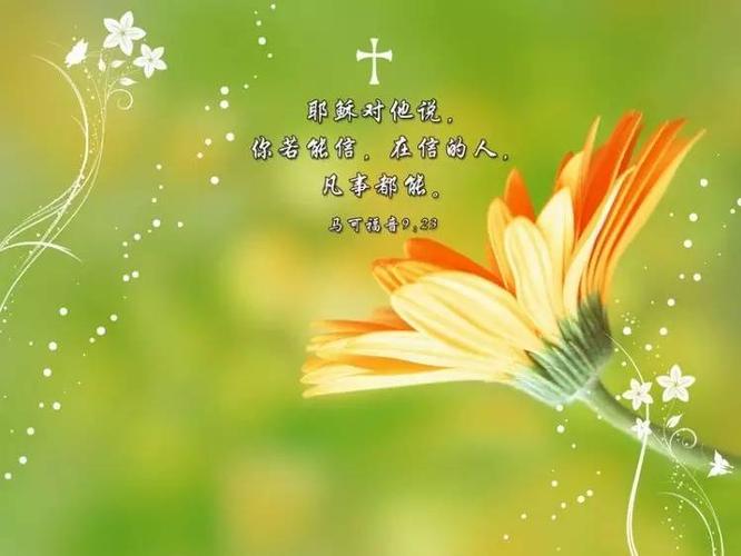 讲道讲章 讲道集讲章精选50集_基督教最好的讲章