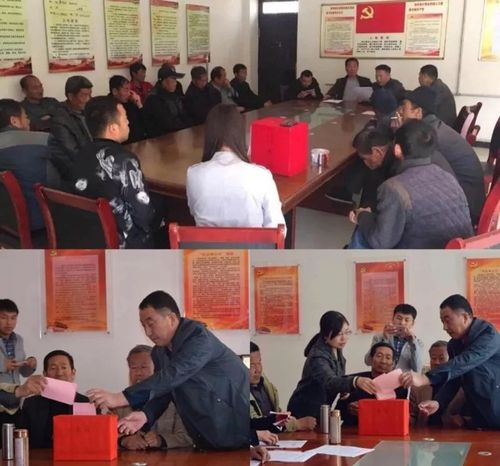 村两委换届进行时|妇女能顶半边天,快来为志丹县点赞