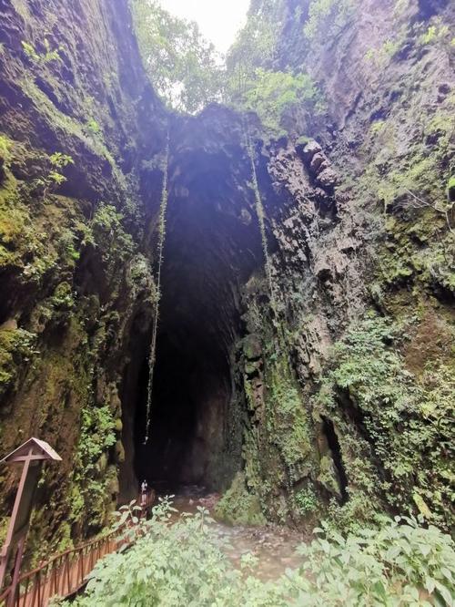 会泽雨碌大地缝景区旅游攻略 之景点26(26/共26页)