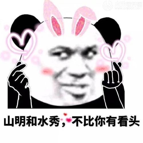 表情包抱住熊熊不敢说话;原来是这样啊,可是这关我屁事;够了,换话题