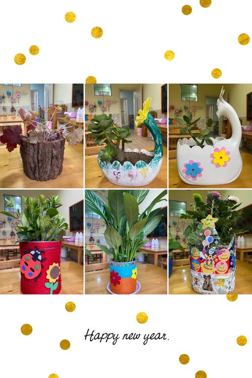 "绿色环保我先行,创意花盆大变身"——福明幼儿园自制