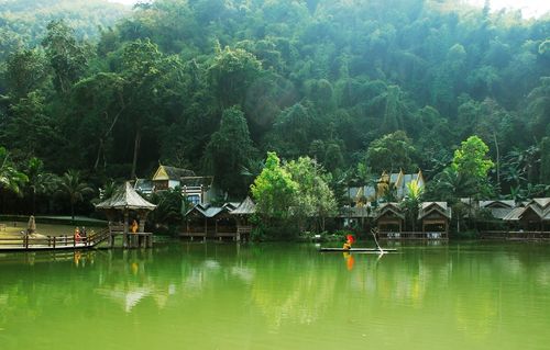 在西双版纳热带雨林,真的有一个传说中的鸟人