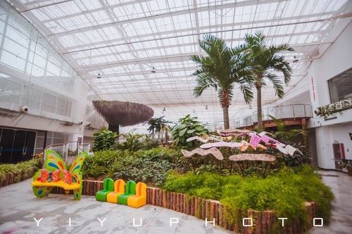 北京遛娃好去处|去顺义鲜花港赏花看春天