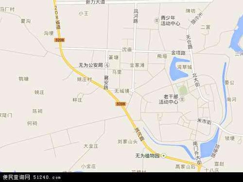 中国安徽省芜湖市无为县无城镇地图(卫星地图)
