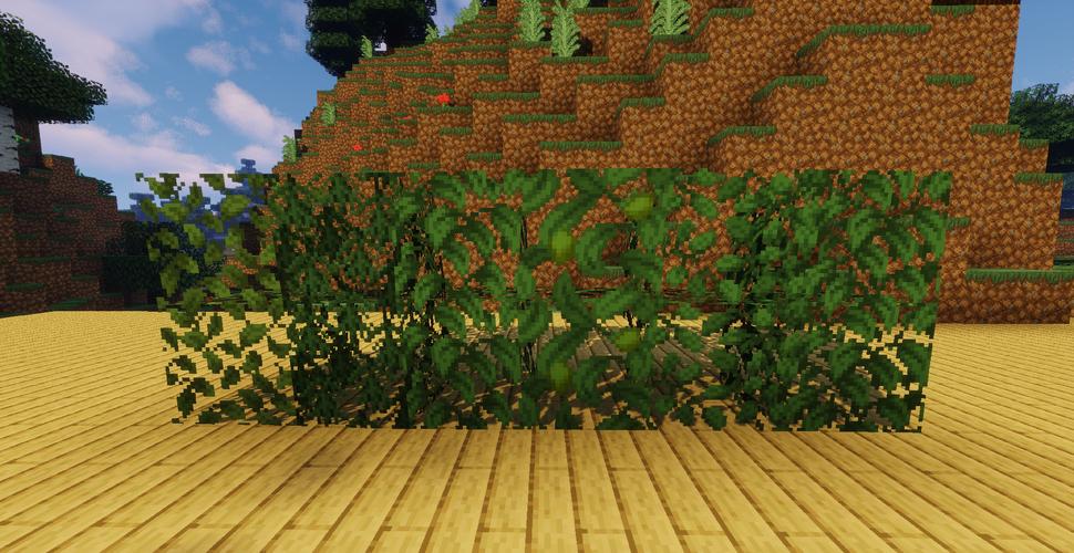 我的世界树叶有什么用处附树叶合成表