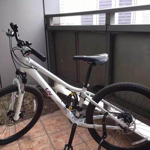 捷安特liv女士山地自行车