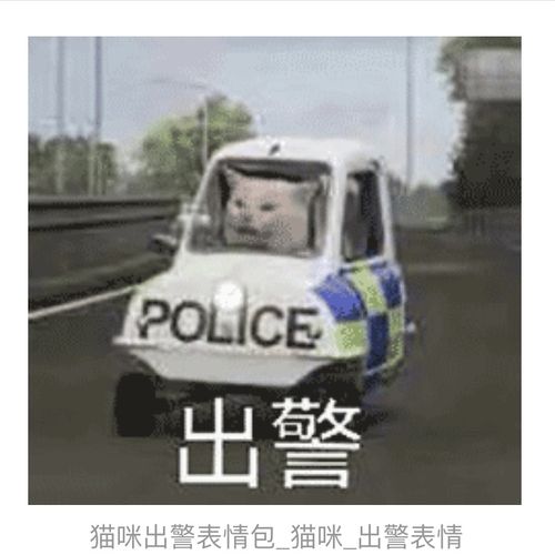 (已找到)求这个猫猫出警表情包
