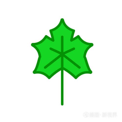 白色backgro 上的枫叶图标矢量符号与符号分离