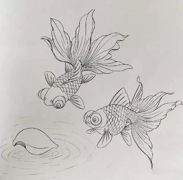 超详细的步骤教你画工笔金鱼