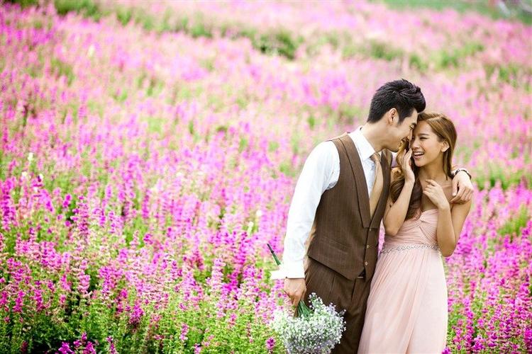 蒙娜丽莎婚纱摄影薰衣草季来临 - 男婚女嫁网