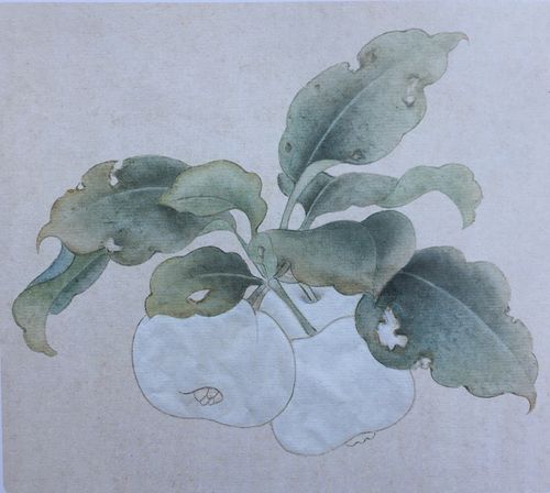 杨秀华工笔画教学课程【六】《果熟来禽图》局部临摹