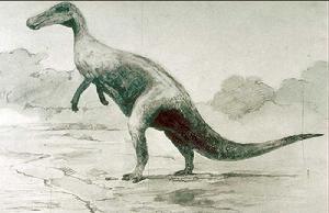 在20世纪初期,鸭嘴龙类的分类发生非常大的改变,许多研究人员将原有