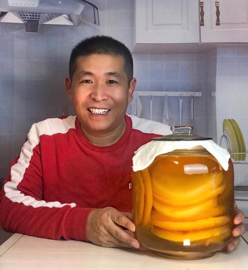 红茶菌,海宝,胃宝,姓氏来历