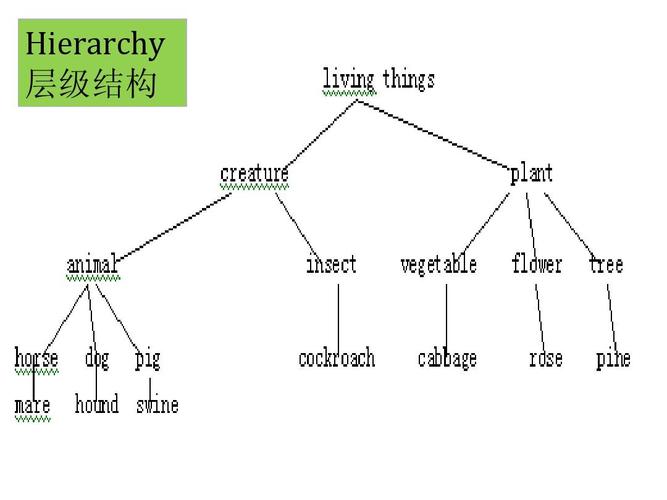 lecture 9 hyponymy, meronymy and semantic fieldppt