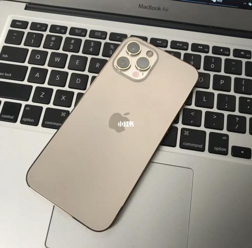 苹果12promax 金色和石墨色哪个更适合女孩