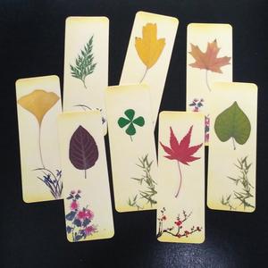 植物标本书签塑封