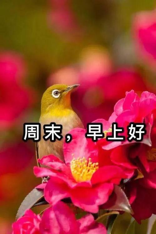 祝周末愉快的简短语句图片 一发就秒赞的周末祝福语