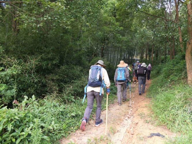 上山冯—下洋岙—上洋岙—外王—山陈—上山冯微信图片