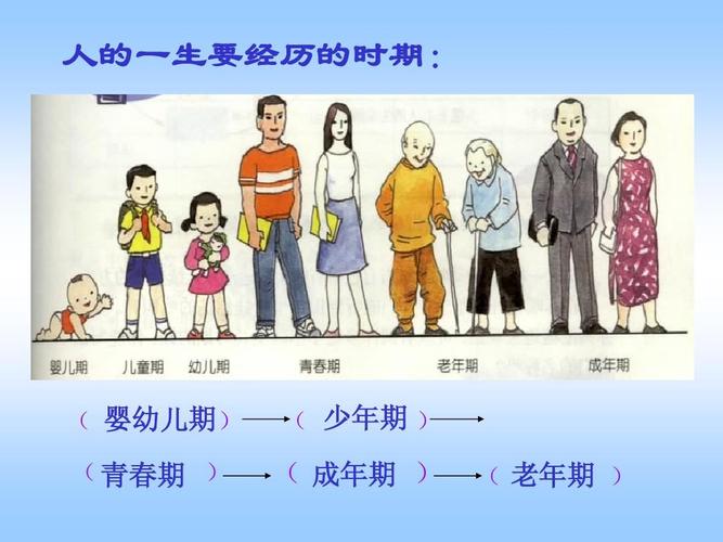 婴幼儿期     青春期     少年期     成年期     老年期