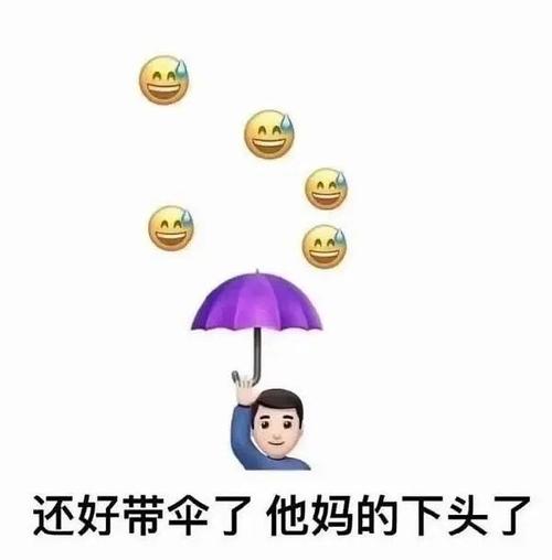 还好带伞了他妈的下头了小黄脸流汗表情包小黄脸带伞表情